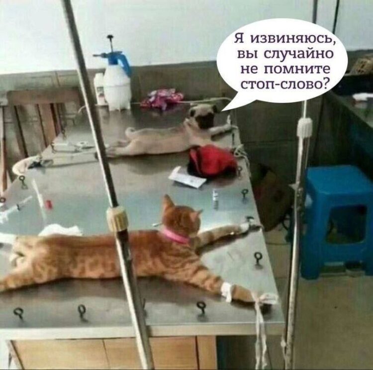 19264978