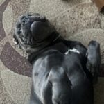 Картинка профиля