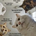 Картинка профиля
