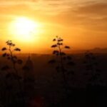 Картинка профиля