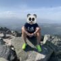 Картинка профиля