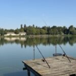 Картинка профиля