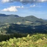 Картинка профиля