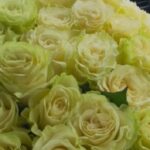 Картинка профиля