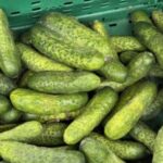 Картинка профиля