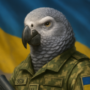 Картинка профиля