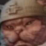 Картинка профиля