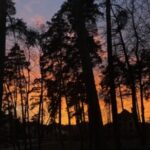 Логотип группы (Лизун Ирпень Буча Киев)
